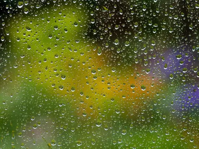 Rain on a window