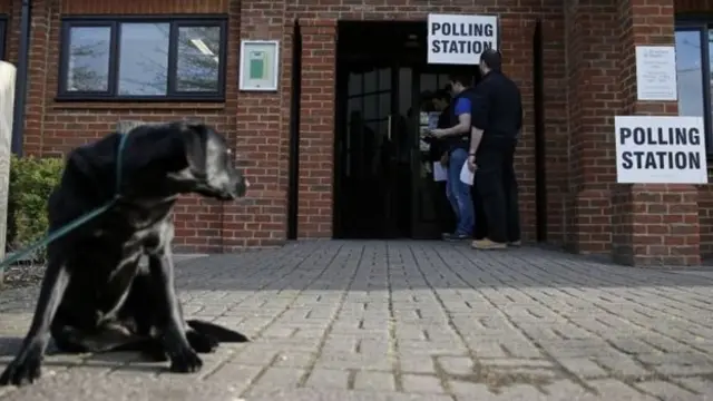 Dog outside polling station