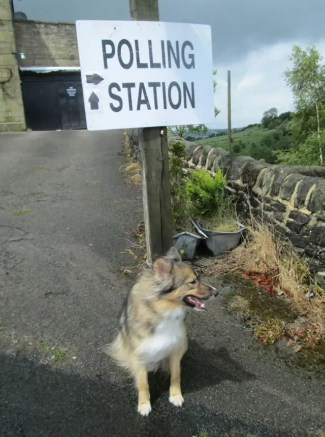 Rupert the dog from Haworth