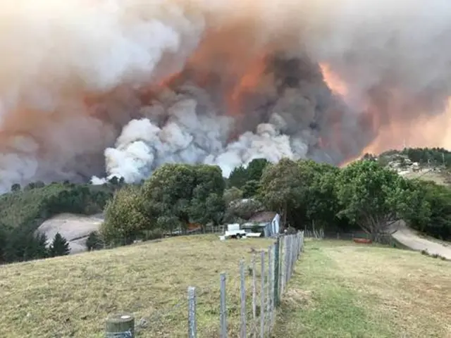 Fires burn at Buffelsvermaak farm near Knysna