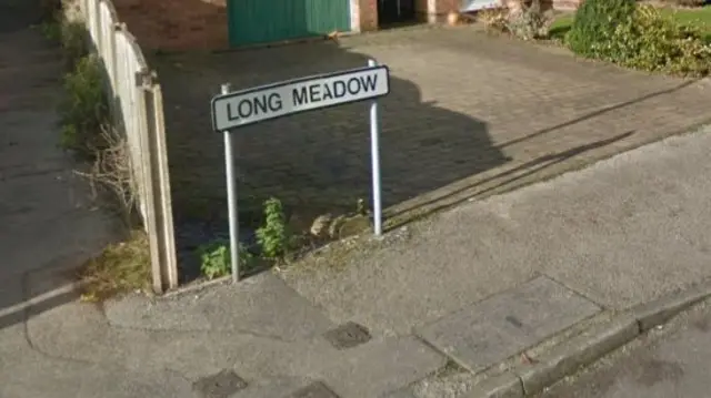 Long meadow