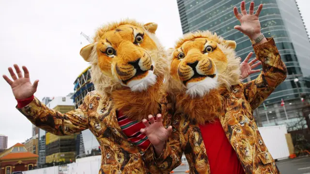 British and Irish Lions fans