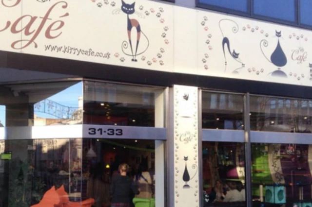 Kitty Cafe Leeds