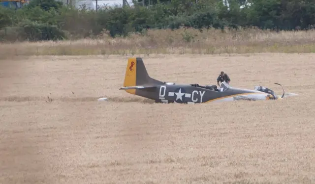 Mustang and pilot