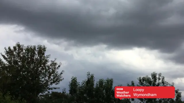 Dark sky over trees