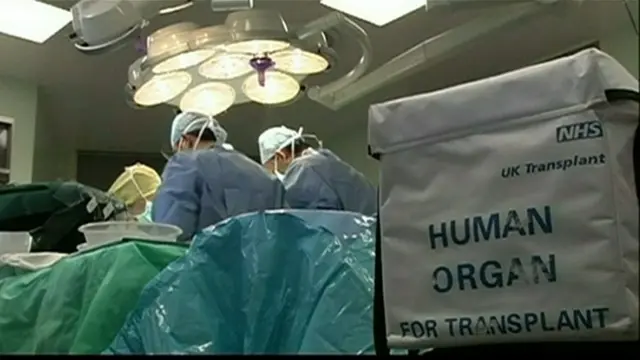 Organ donor bag in an operating theatre