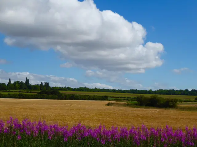 longthorpe, peterborough