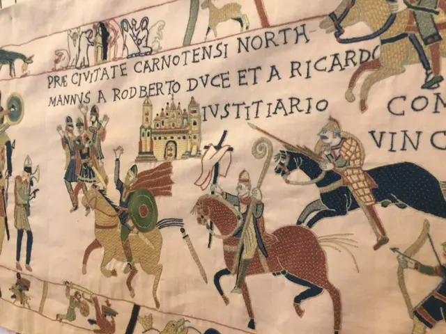 Viking tapestry