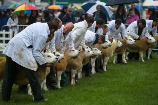 Great Yorkshire Show