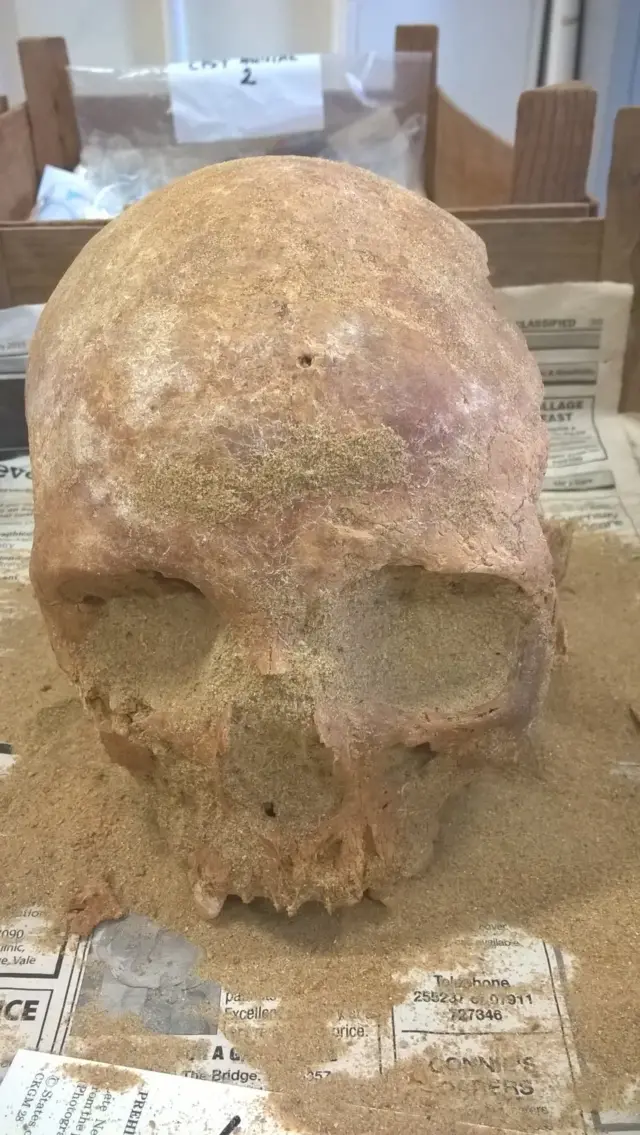 A skull found near Longis Common