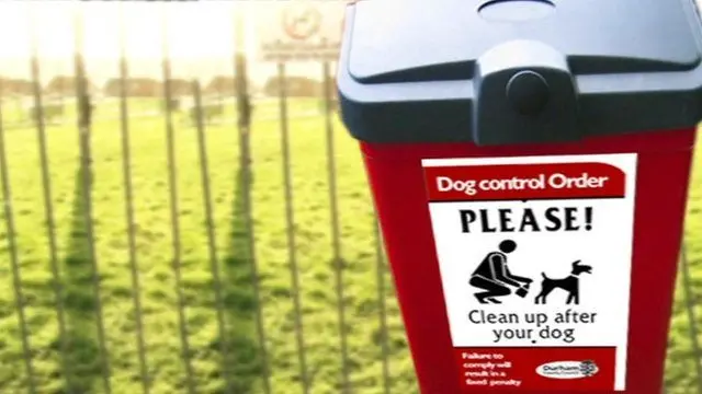 Dog waste bin