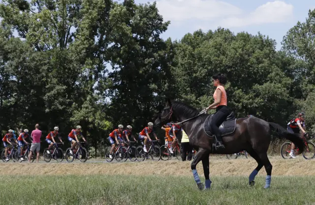 Tour de France horse