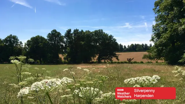 Sunshine over a field in Harpenden.