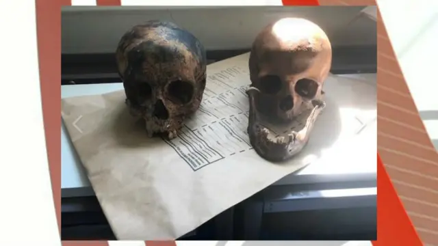 Skulls. Pic: Totnes Police/Facebook