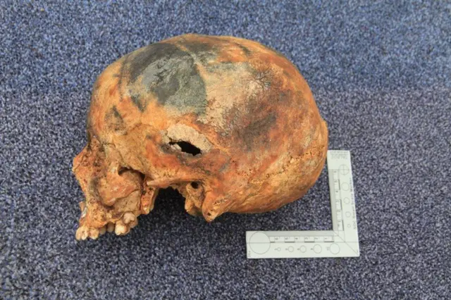 Skull. Pic: Devon and Cornwall Police