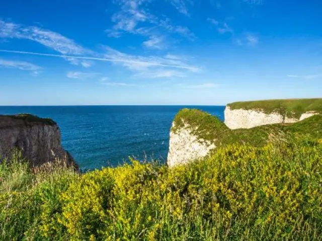 Flamborough cliff