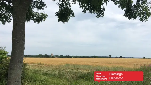 Open farmland with church in distance