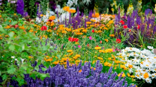 One of the gardens for RHS Tatton Park