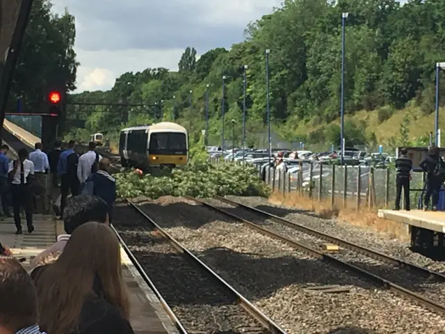 Tree on railway line