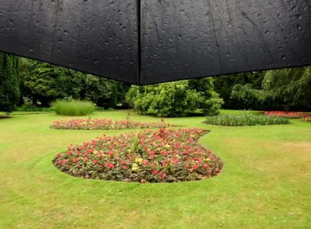 Umbrella and rain