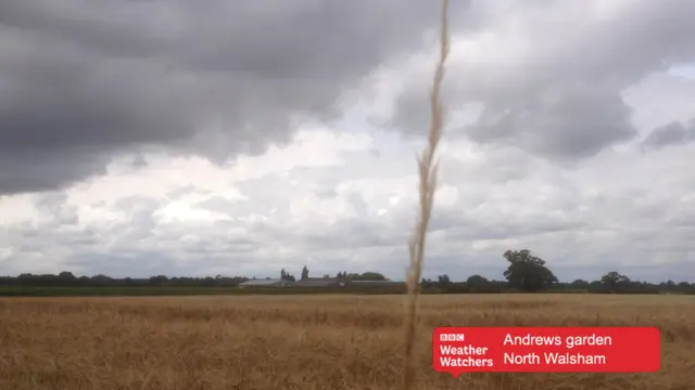 Dark clouds over farmland