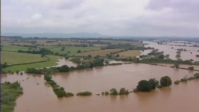 Flooded fields