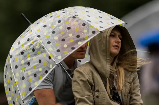 Umbrella