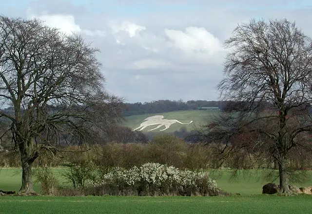 White lion on hill