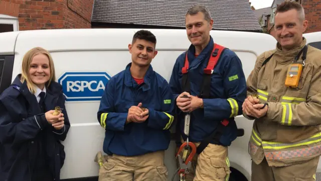 Fire crews afterwards with ducklings