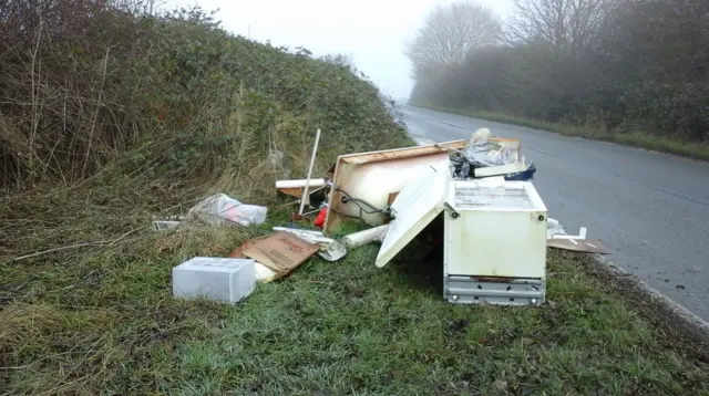 A fridge and bath dumped among other rubbish on the roadside