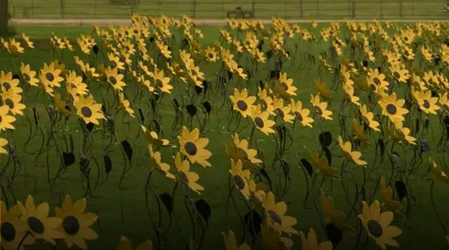 Hundreds of sunflowers in a display in the grass