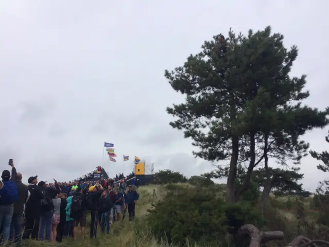 A tree on the 18th hole