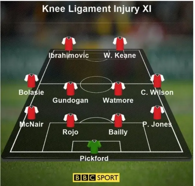 Knee ligament XI