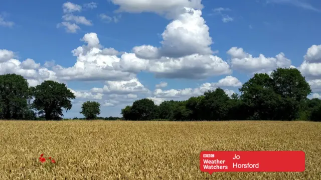 Blue sky and white clouds over farmland