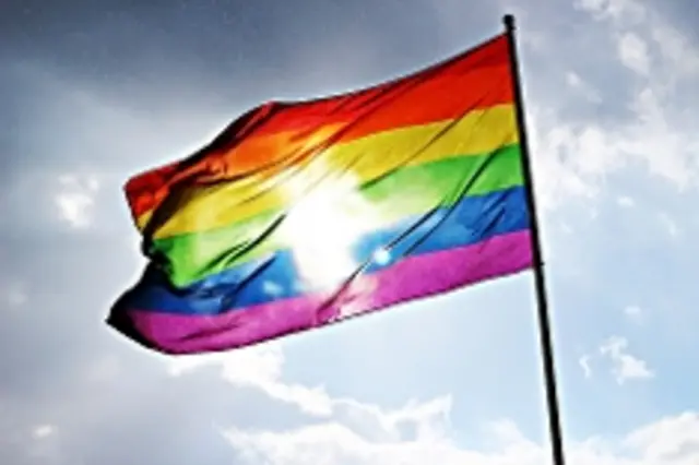 Rainbow flag