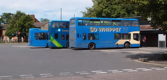 Whippet bus