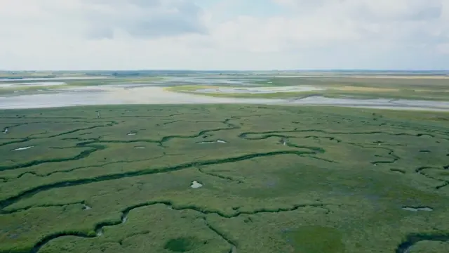 Wallasea Island