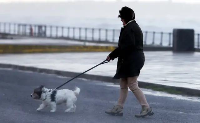 An older woman walking a dog on the seafront in blustery weather conditions