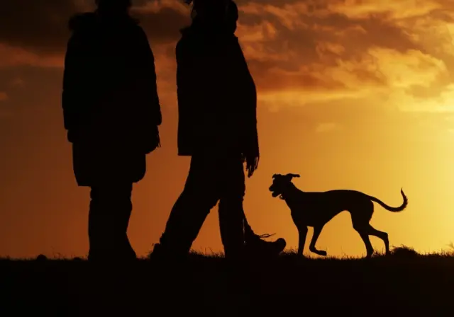 A couple walking a dog at sunset