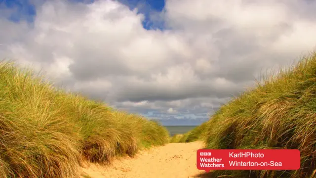 A beach scene, showing a sand path through marram grass