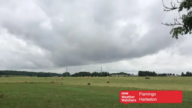 Grey clouds over open meadow, with cows grazing in the distance