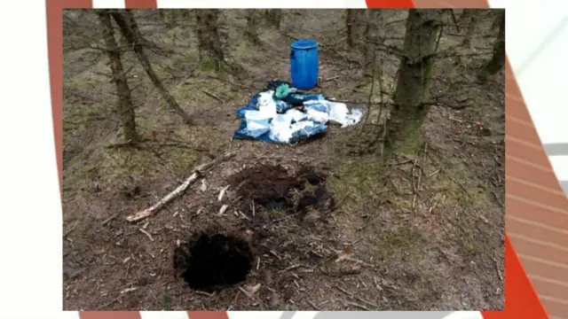 Wood search. Pic: Police Service of Northern Ireland