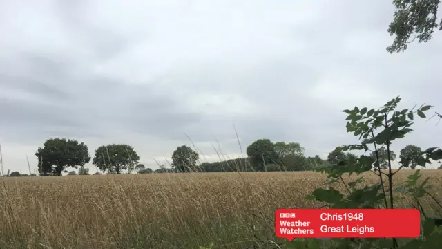 Cloudy skies in Great Leighs.