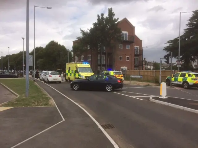 Vehicles close to entrance of park