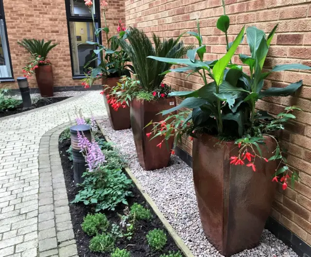 New garden at the QMC