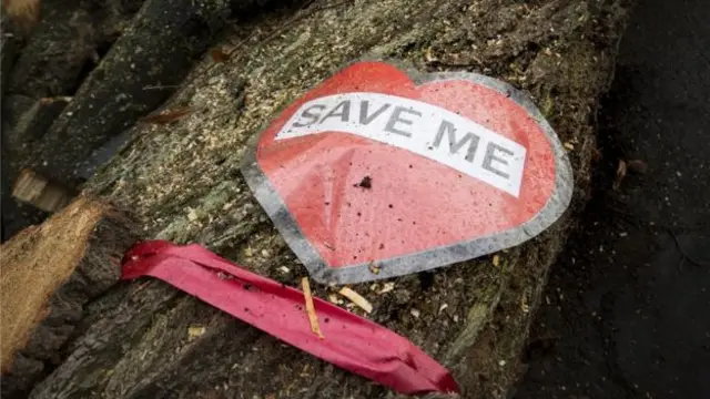 Save me sign on tree