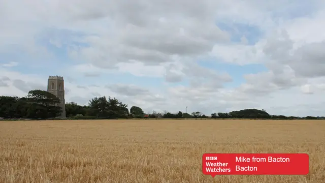 Church across corn field, with cloudy sky