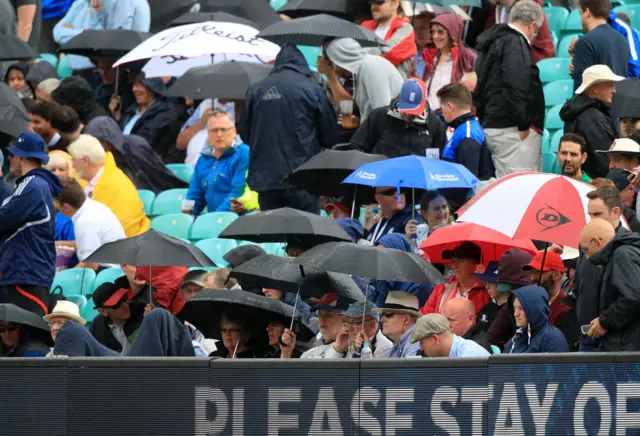 Umbrellas at The Oval