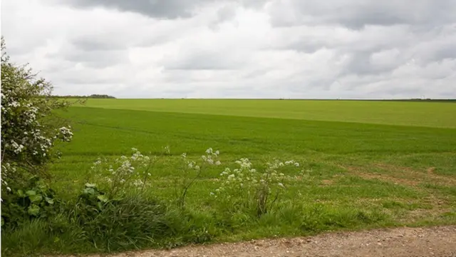 Dean Farm, Welborne site