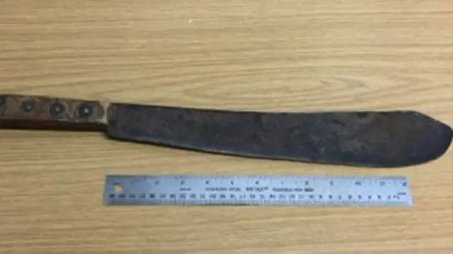 A machete seized by Essex Police.